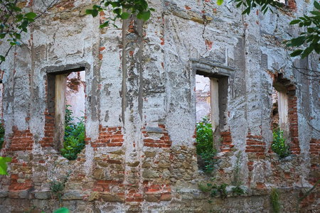 Ruiny w Pankowie