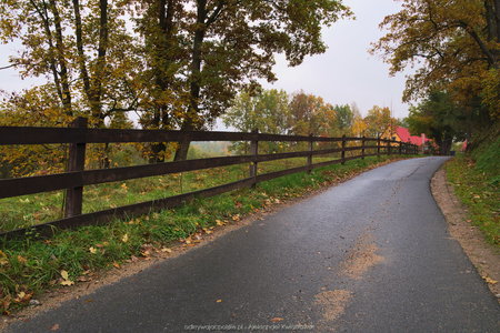 Jesienna droga do Trzcińska