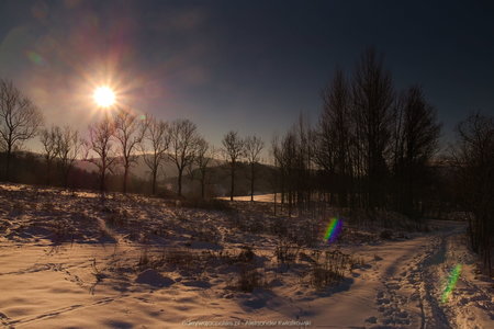 Słoneczny poranek podczas schodzenia żółtym szlakiem do Karpnik