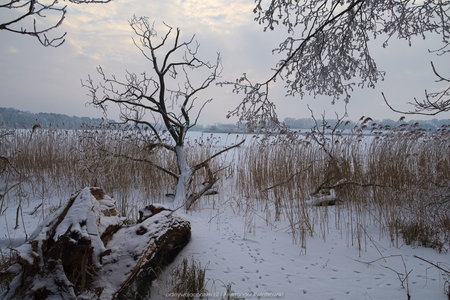Jezioro Dymaczewskie