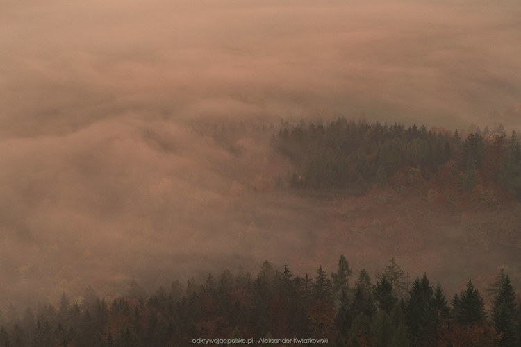 Mgły zakrywające lasy (63.86328125 kB)
