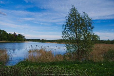 Jezioro Sobowidzkie