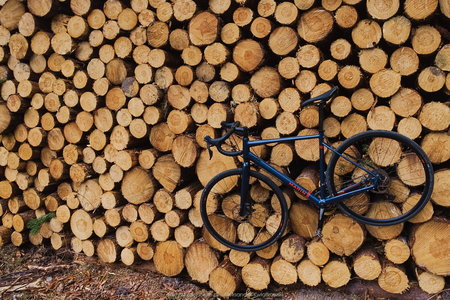 Rower Krzycha zaparkowany na drzewie