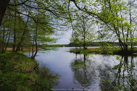 Jezioro Radolne (B.Wojciechowska)