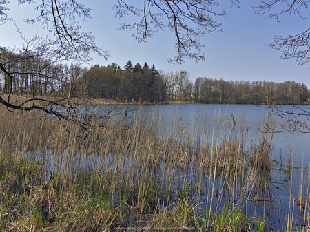 Jezioro Łoskoń