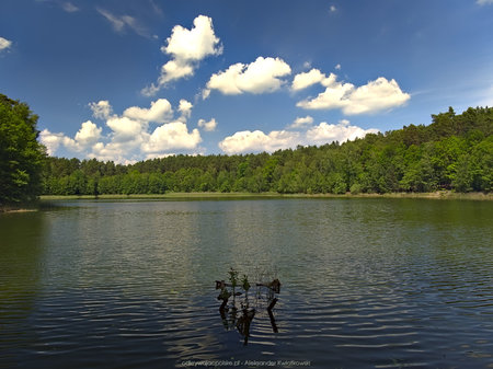 Jezioro między Lubieniem a Brzeźnem