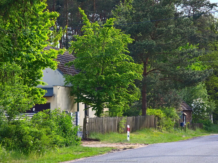 Domy w Kobylarni zakryte drzewami (248.1328125 kB)