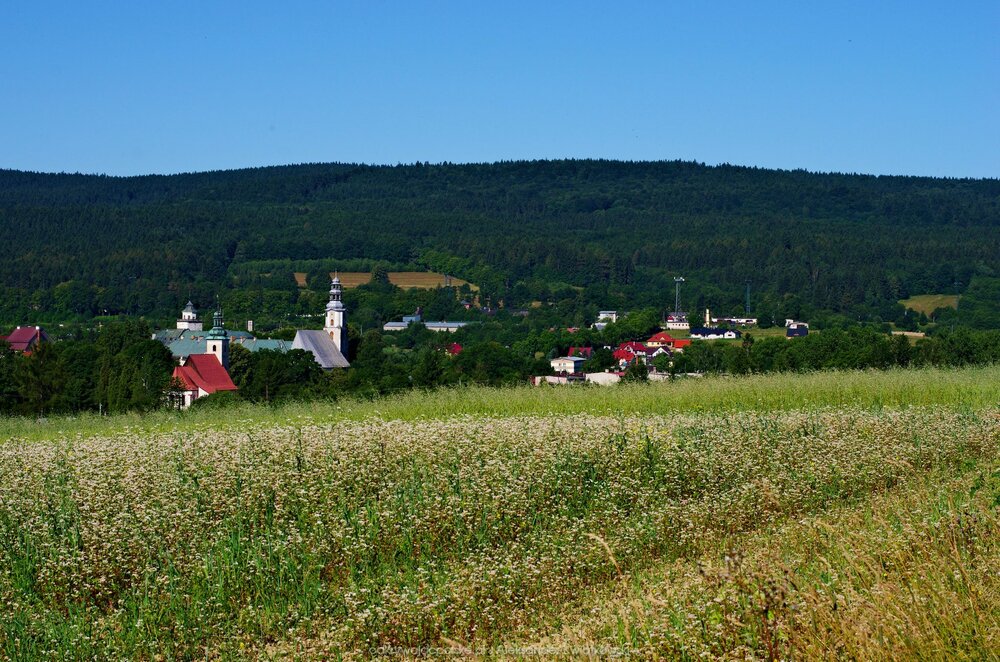 Widok na Międzylesie (194.1171875 kB)