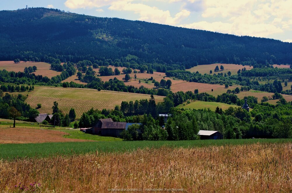 Wieś Jodłów (185.986328125 kB)