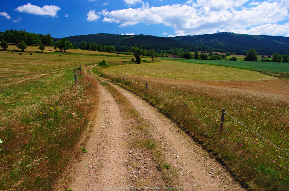 Mijając Jodłów (259.34765625 kB)