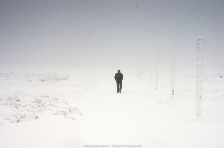 Samotna osoba w zimie (61.107421875 kB)