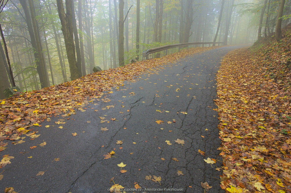 Jesienna droga (238.0546875 kB)
