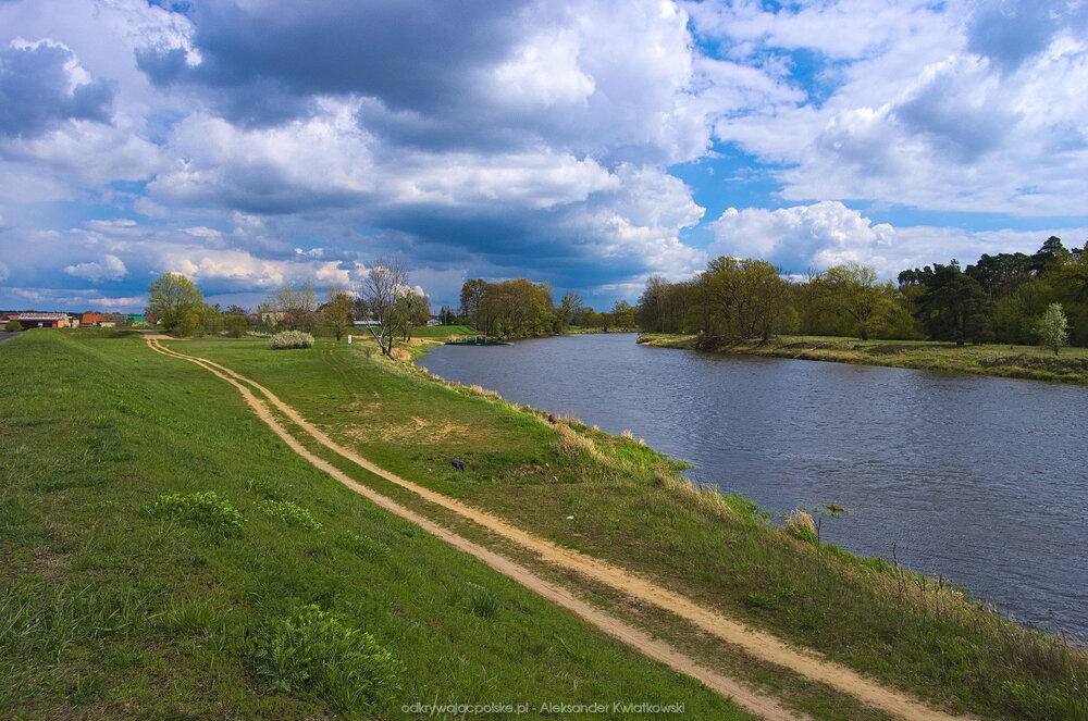 Warta niedaleko Orzechowa (192.3408203125 kB)