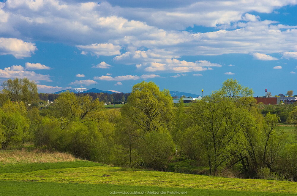 Widok na Śnieżnik z okolicy Gołogłów (198.0595703125 kB)