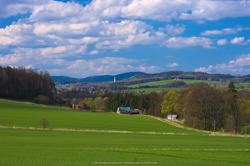 Pola Kotliny Kłodzkiej (173.5537109375 kB)