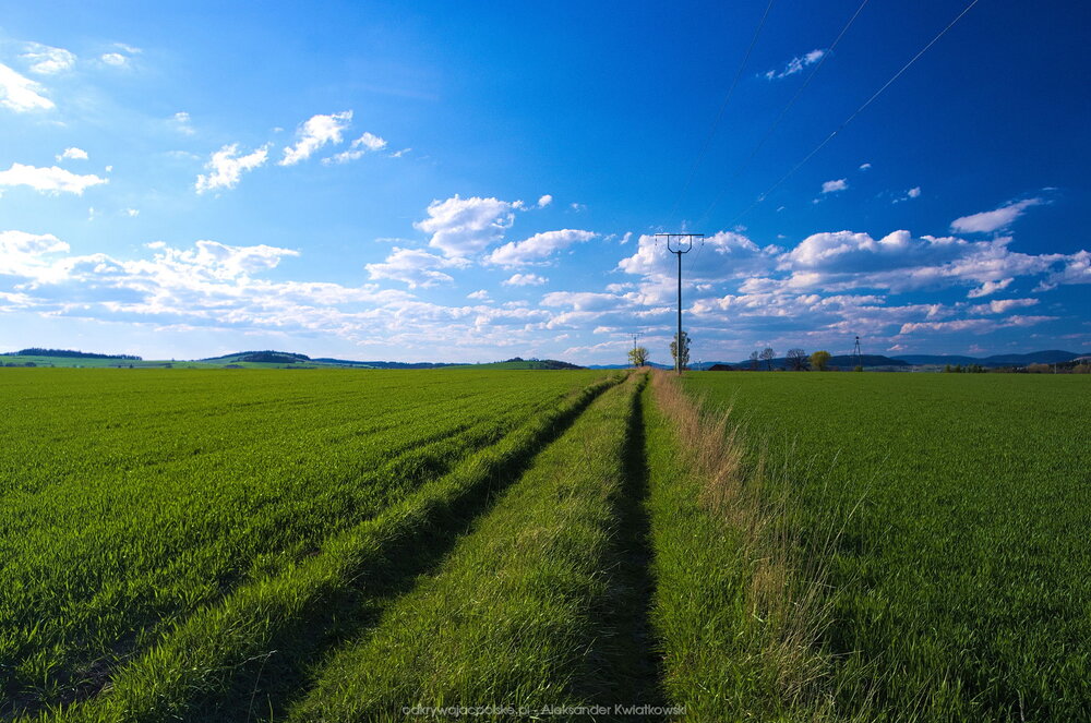 Droga przez pole (198.96875 kB)