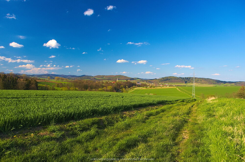 Widok na Piszkowice (202.73046875 kB)