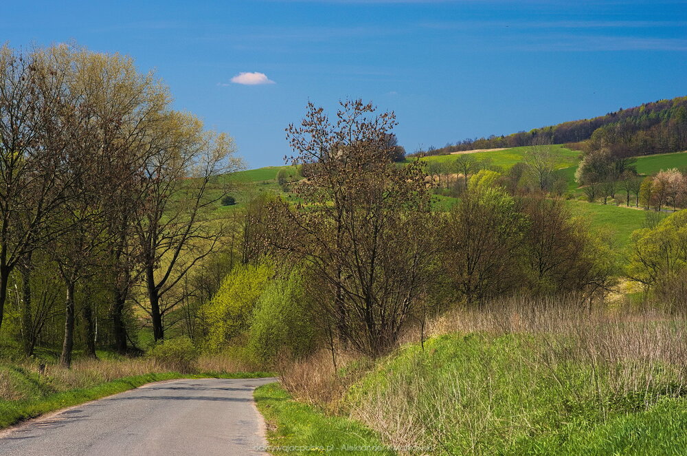 Między Łączną a Wojborzem tereny były dość dzikie (250.701171875 kB)
