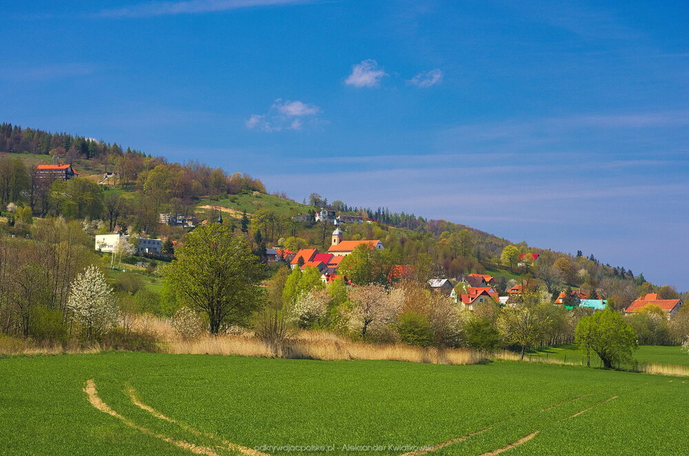 Srebrna Góra z dołu (189.6591796875 kB)