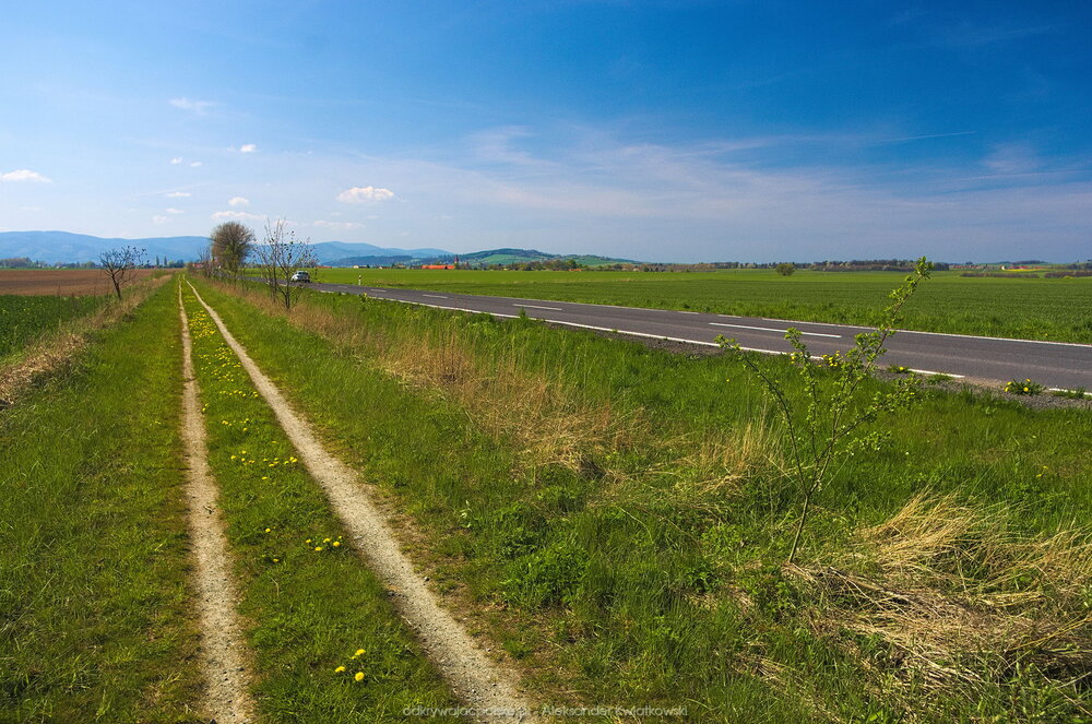 Ścieżka rowerowa na rozebranej linii kolejowej (220.3017578125 kB)