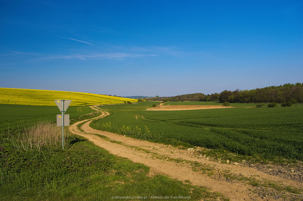 Polna droga do Czesławic (161.1318359375 kB)