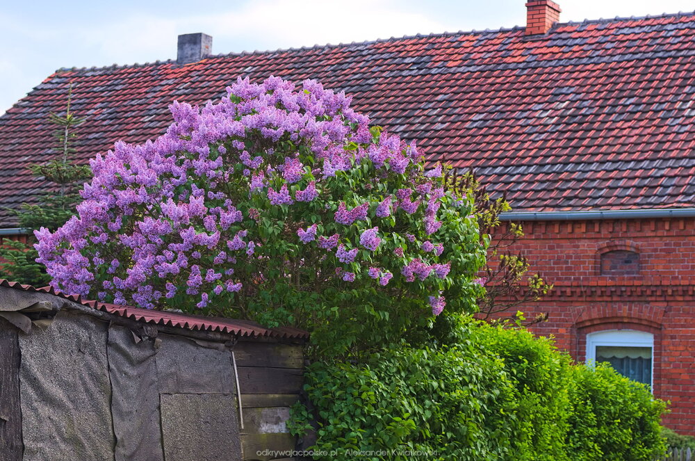 Trochę kolorów (280.0927734375 kB)