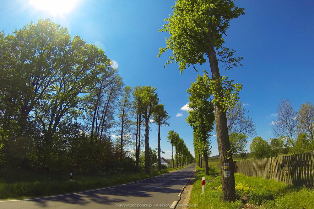 Wyjeżdzajac z Krzyża (222.4462890625 kB)