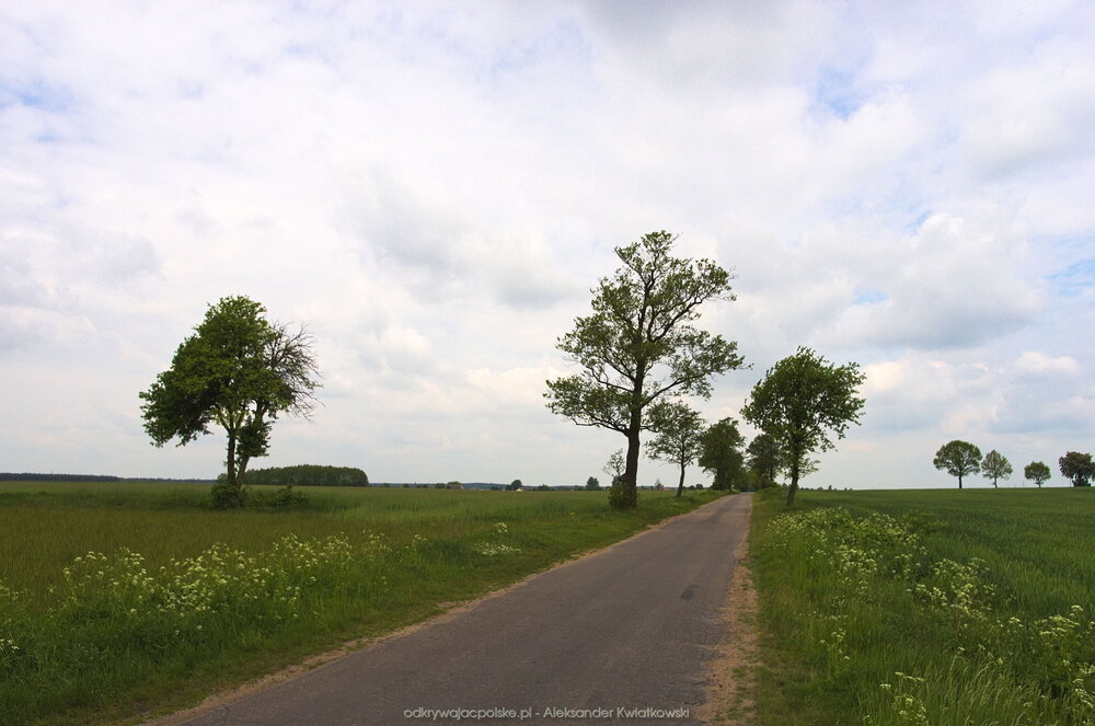 Wyjeżdżając z Kamienicy (134.4716796875 kB)