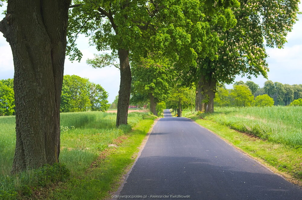 Droga z Konstantynowa do Chodzieży (243.328125 kB)