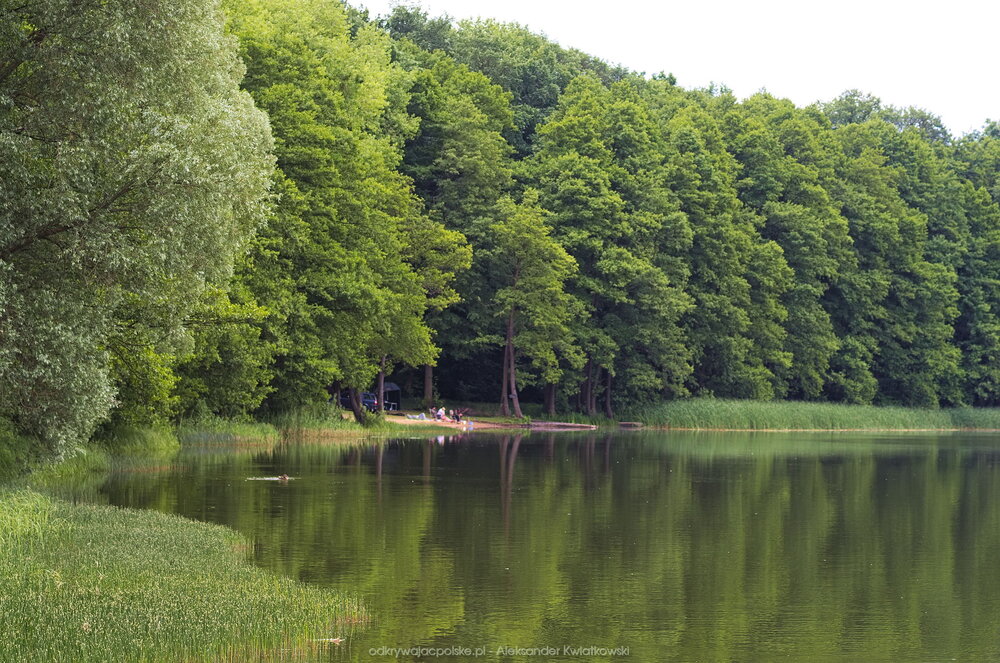 Jezioro na północ od Trzciela (237.5498046875 kB)