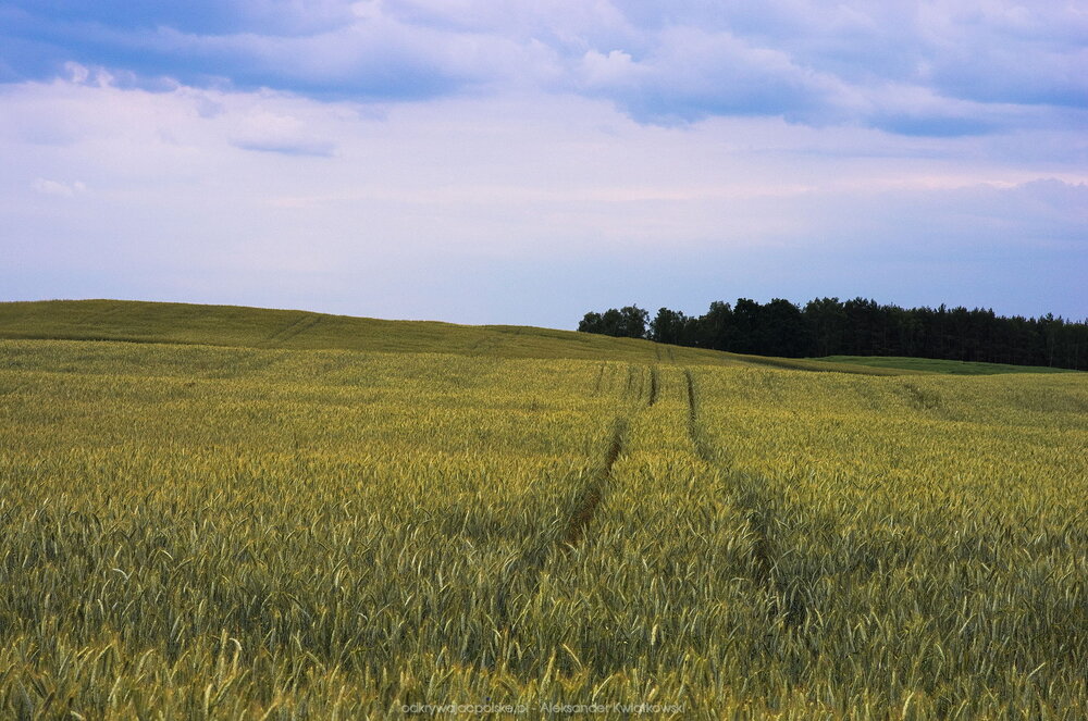 Pofalowane pola między Stokami a Dormowem (192.658203125 kB)