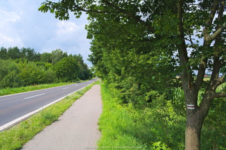 Szlak rowerowy do samej Bydgoszczy