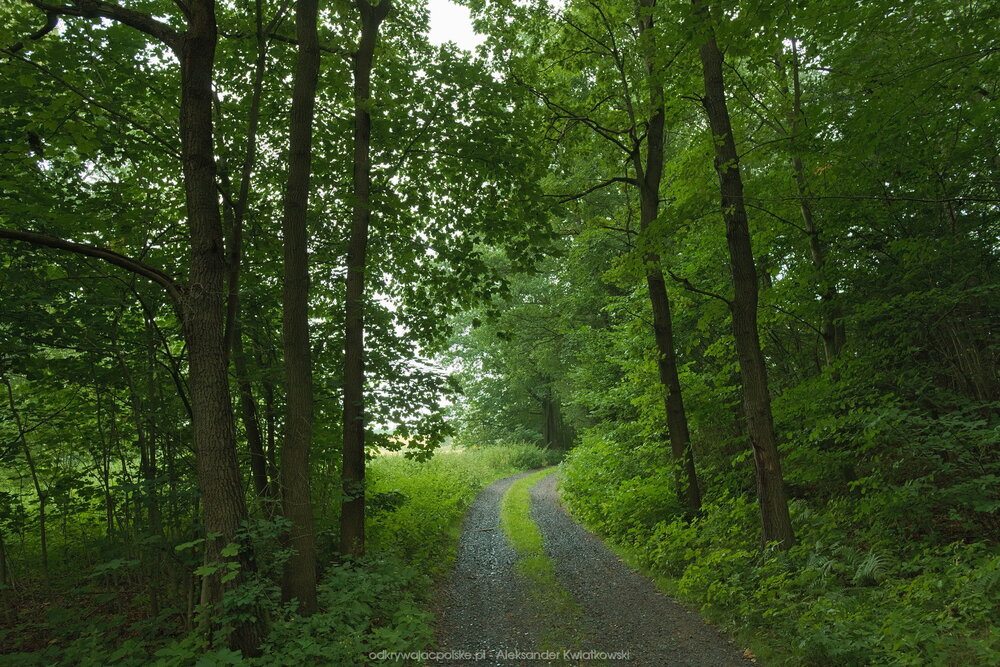 Tutaj czekaliśmy aż deszcz przestanie padać, ale nie przestawał (266.177734375 kB)