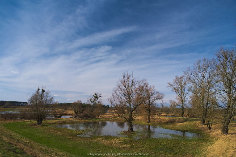 Tereny zalewowe obok Warty (153.73046875 kB)
