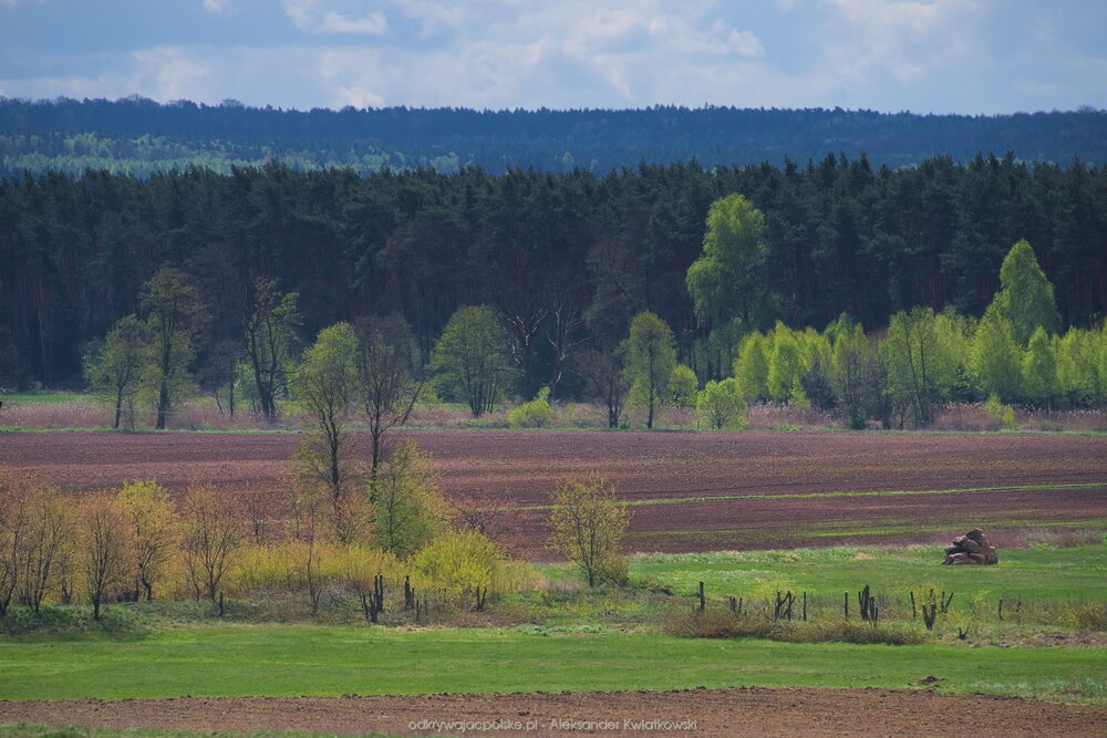 Obniżenie terenu w okolicy Baryczy (170.697265625 kB)