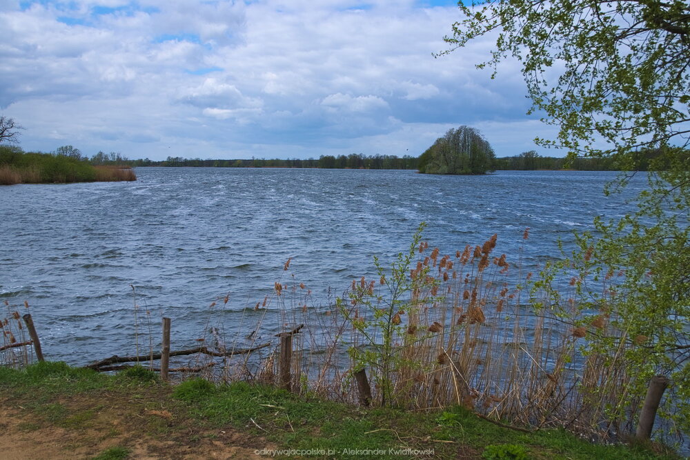 Fale na jednym ze Stawów Milickich (223.1064453125 kB)