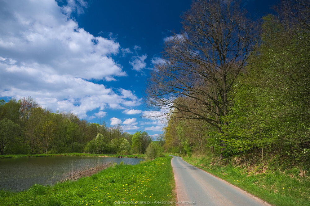 Opuszczając Biegoszów (205.2109375 kB)