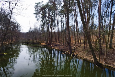 Struga Jeziorna w okolicy Chyciny