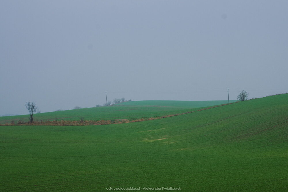 Okolice Więcborka (86.4736328125 kB)