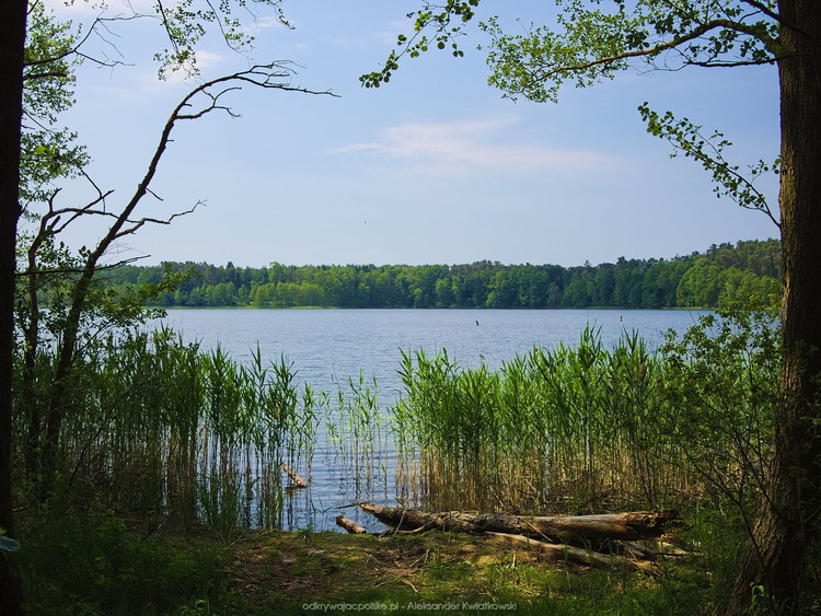 Jezioro Głębokie (183.8896484375 kB)