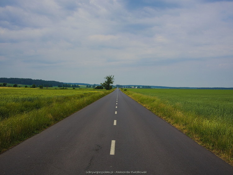 Droga z Boryszyna do Zarzynia (98.7412109375 kB)