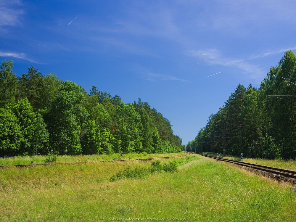 Rozdzielenie torów za Gutkowem (222.6962890625 kB)