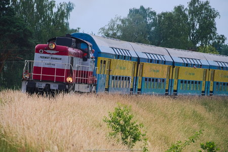 Pociąg Przytoń w okolicy Polnicy