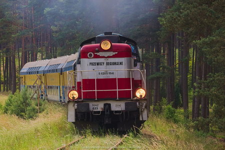 Pociąg Przytoń niedaleko wsi Czosnowo