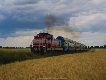 Pociąg Przytoń i pola w Polnicy