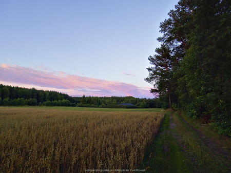 Polana na północ od Kiszewka po zachodzie słońca