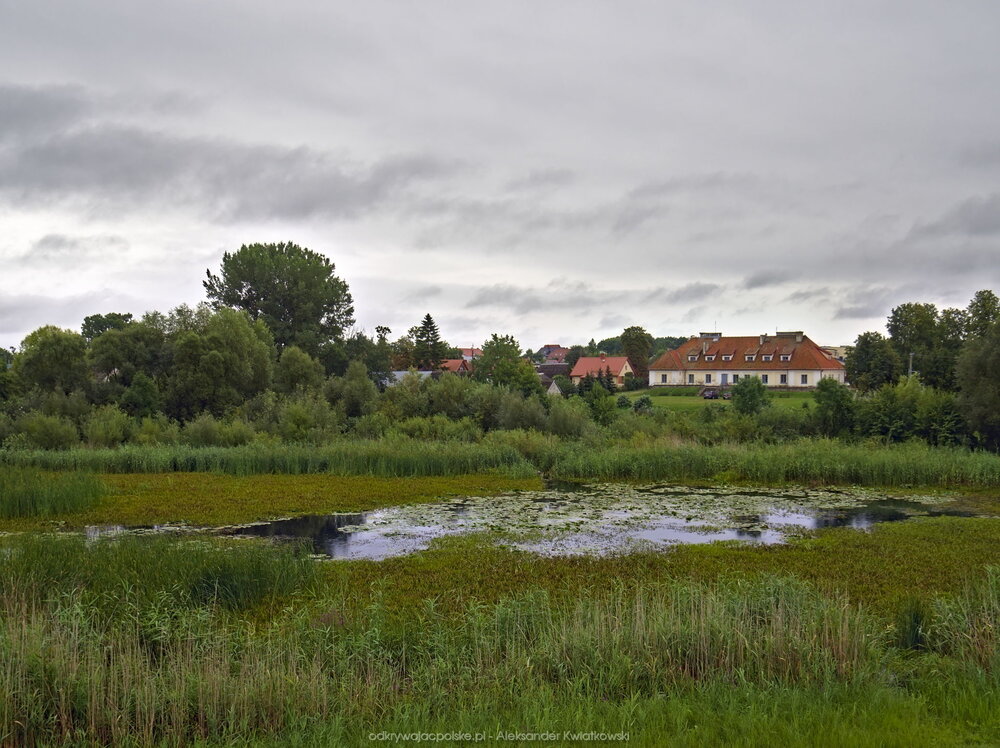 Widok z wieży widokowej w Tykocinie (178.96875 kB)