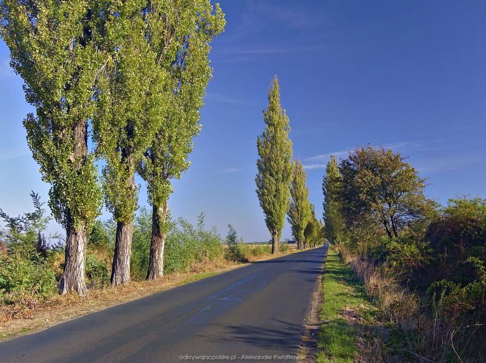 Okolica Siedlikowa (260.7958984375 kB)