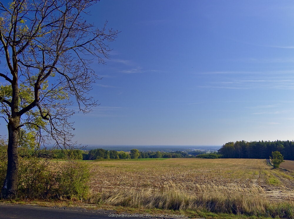 Widok na wschód od Kotłowa (211.486328125 kB)