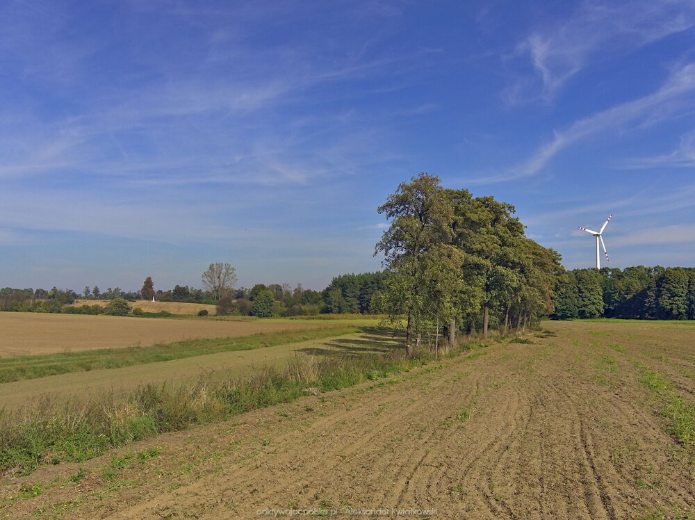 Okolica wsi Sośnica (175.560546875 kB)